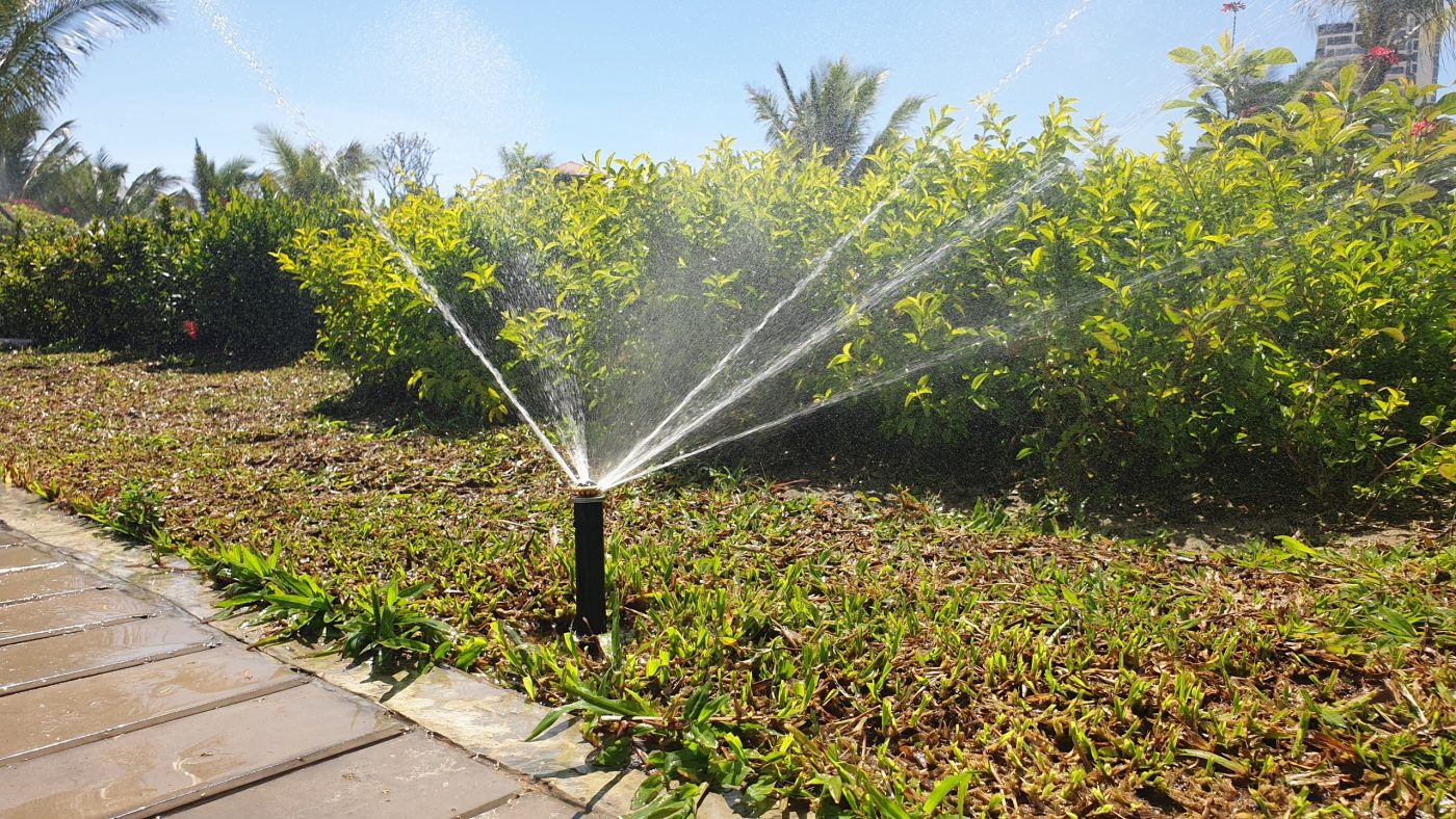 Hệ thống tưới tự động dạng phun mưa cho cây dọc lối đi