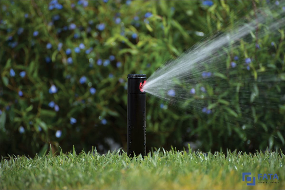 Cách so sánh giữa đầu tưới Rotor và Spray