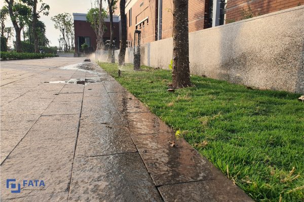 4 HÌNH THỨC TƯỚI CÂY THÔNG MINH TỰ ĐỘNG THỜI NAY