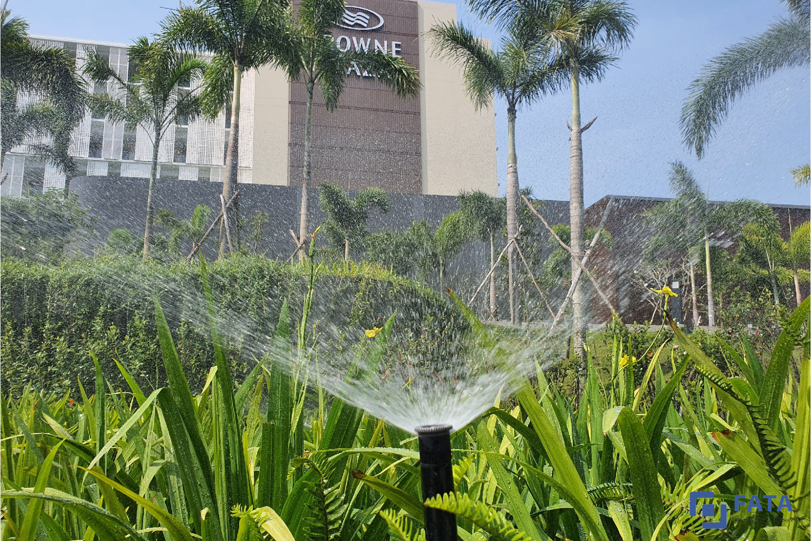 Hình thức tưới thông minh cho một khoảng vườn tại công trình cảnh quan Crowne Plaza, Phú Quốc